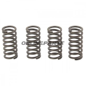 Clutch Spring Kit (4)Ebc