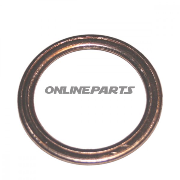 Exhaust Gasket36x47x2.5 Mm