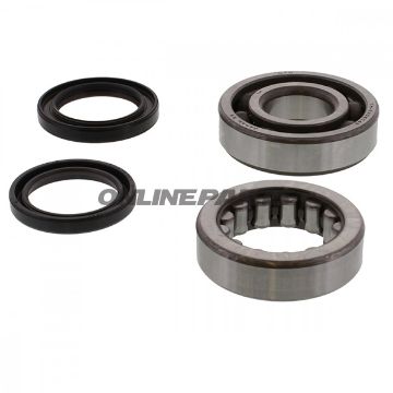 Crankshaft Bearing Kit