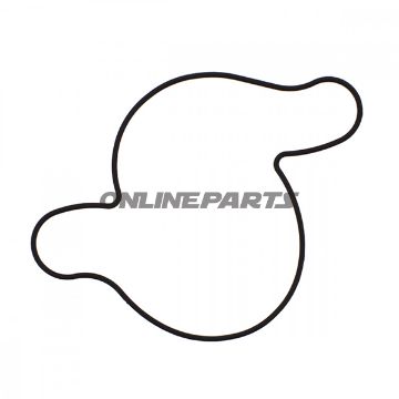 Water Pump O-Ring Gaskettourmax Oem