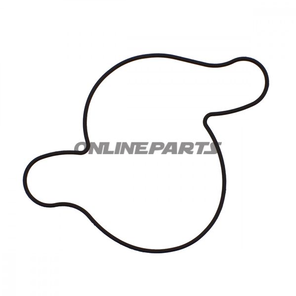Water Pump O-Ring Gaskettourmax Oem