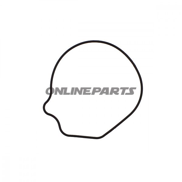 Water Pump Gasket