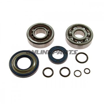 Crankshaft Bearing Kit 