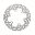 Brake Disc Rigid Rac Trw