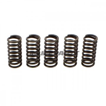 Clutch Spring Kit (5)Ebc