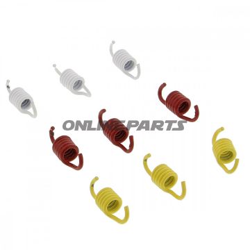 Centrifugal Clutch Spring Setmalossi