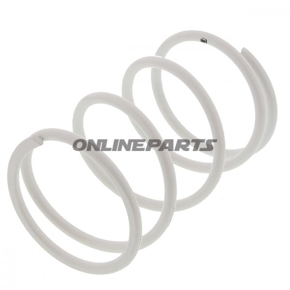 Variator Springmal