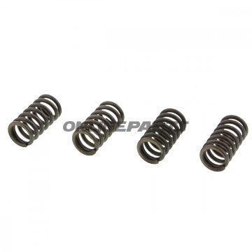 Clutch Spring Kit (4)Ebc
