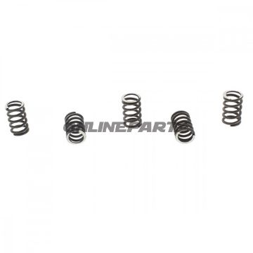 Clutch Spring Kit (5)Trw/ Lucas