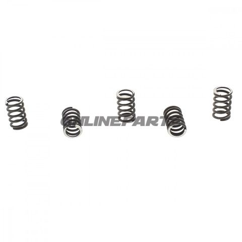 Clutch Spring Kit (5)Trw/ Lucas