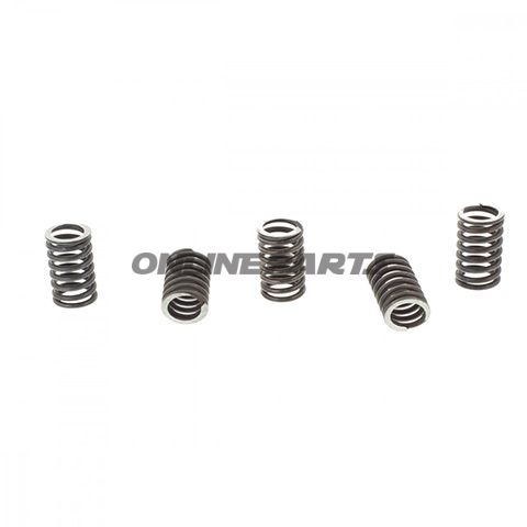 Clutch Spring Kit (5)Trw/ Lucas