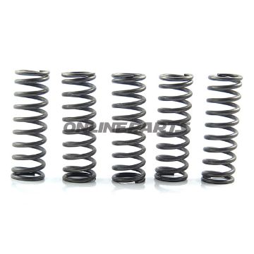 Clutch Spring Kit (5)Ebc