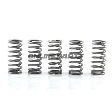 Clutch Spring Kit (5)Ebc