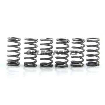 Clutch Spring Kit (6)Ebc