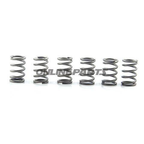 Clutch Spring Kit (6)Ebc