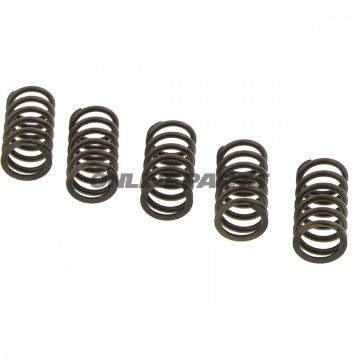 Clutch Spring Kit (5)Ebc