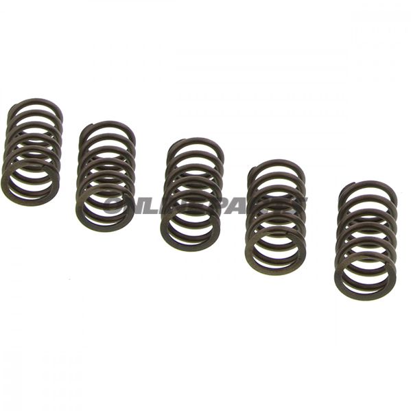 Clutch Spring Kit (5)Ebc
