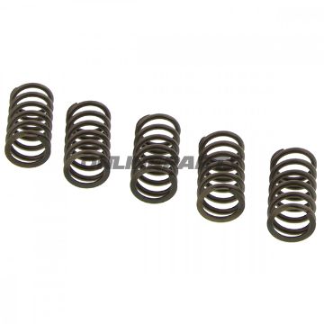 Clutch Spring Kit (5)Ebc