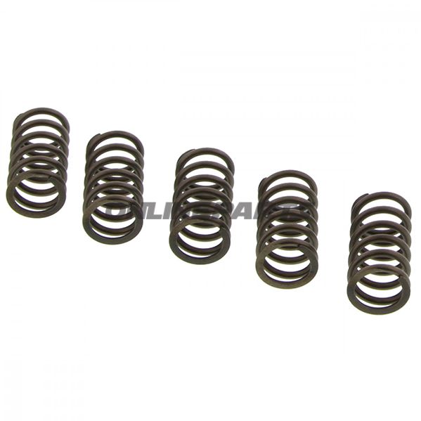 Clutch Spring Kit (5)Ebc