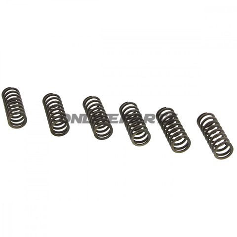 Clutch Spring Kit (6)Ebc