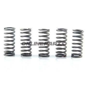 Clutch Spring Kit (5)Ebc