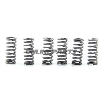 Clutch Spring Kit (6)Ebc
