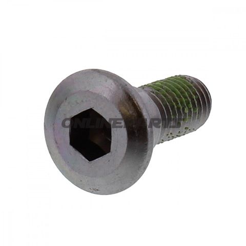 Brake Disc Boltm8x1.25X22mm