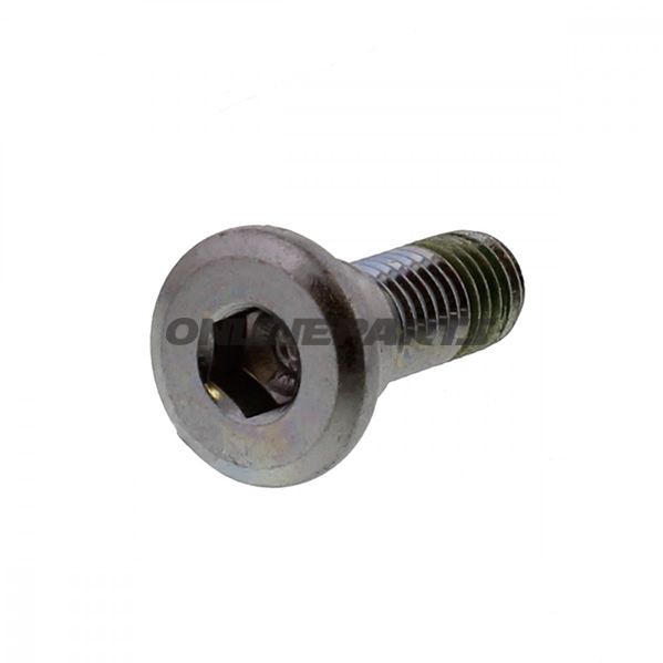 Brake Disc Boltm8x1.25X24mm