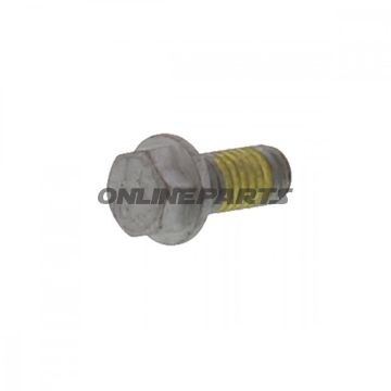 Brake Disc Boltm6x1.0X13mm