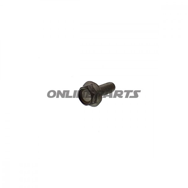 Brake Disc Boltm6x1.0X16mm