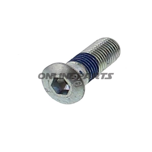 Brake Disc Screw (Orig Spare Part)M10 X 1.25X30 Mm