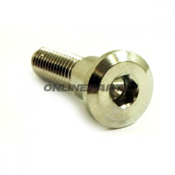 Brake Disc Screw Proboltm8x1.25Mm 33Mm Stainless Steel A4