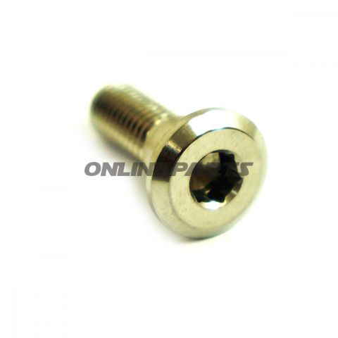 Brake Disc Screw Proboltm8x1.25Mm 24Mm Stainless Steel A4
