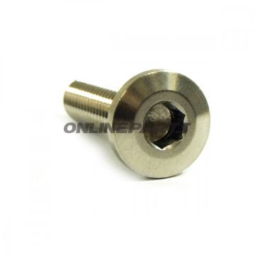Brake Disc Screw Proboltm8x1.25Mm 30Mm Stainless Steel A4