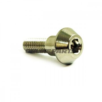 Brake Disc Screw Proboltm6x1.00Mm 20Mm Stainless Steel A4