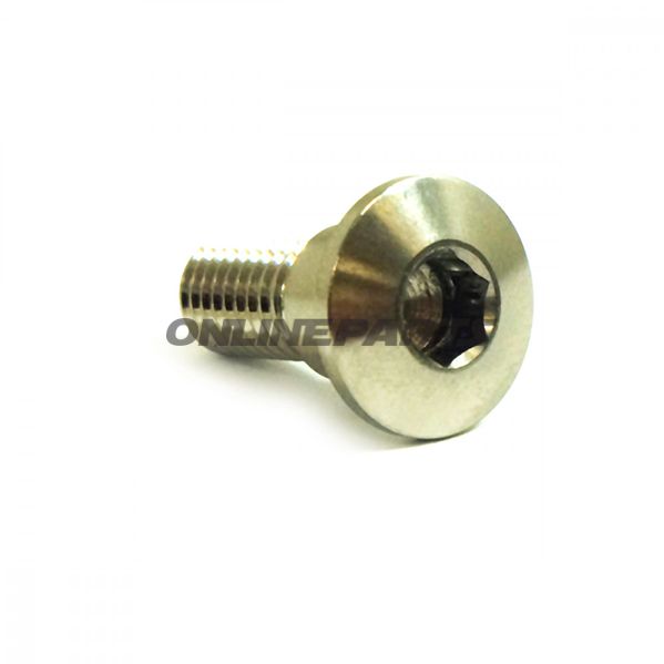 Brake Disc Screw Proboltm8x1.25Mm 22Mm Stainless Steel A4