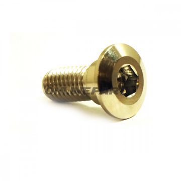 Brake Disc Screw Proboltm8x1.25Mm 20Mm Stainless Steel A4