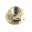 Axle Nut Proboltm16x1.50Mm Stainless Steel A4