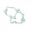 Crankcase Gasket