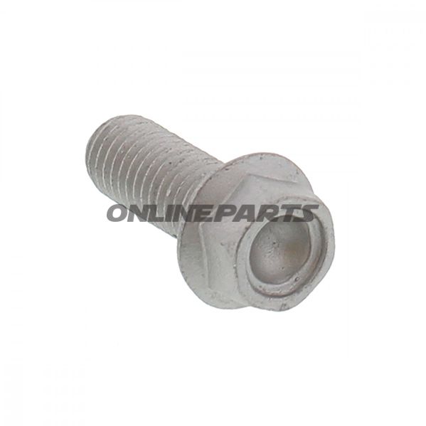 Brake Disc Boltm10 X 1.50X25mm