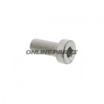 Brake Disc Boltm6x1.0X16mm