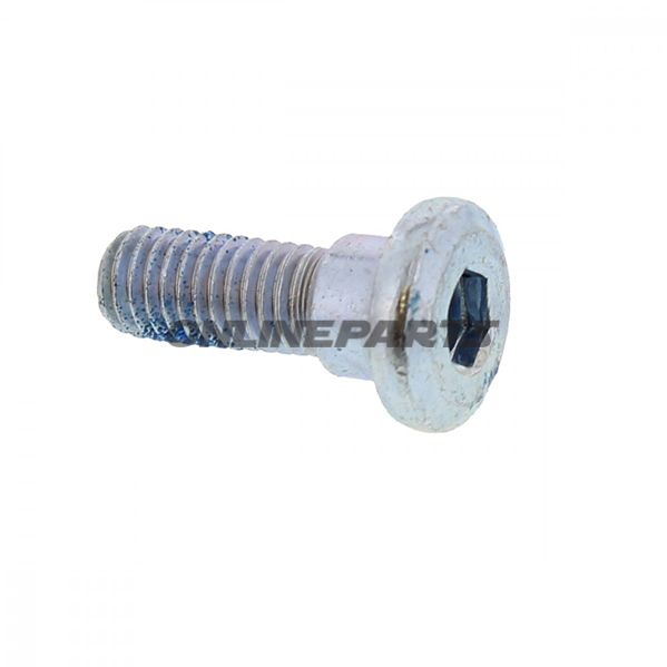Brake Disc Boltm8x1.25X24mm