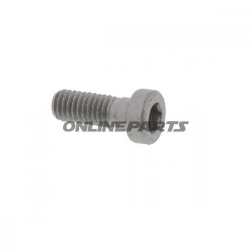 Brake Disc Boltm6x1.0X16mm