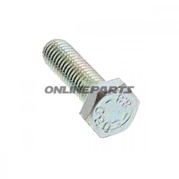 Brake Disc Boltm6x1.0X22mm