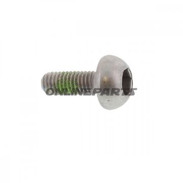 Brake Disc Boltm6x1.0X17mm