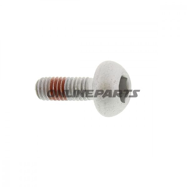 Brake Disc Boltm6x1.0X17mm