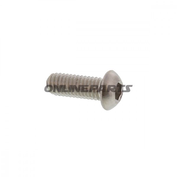 Brake Disc Boltm6x1.0X16mm