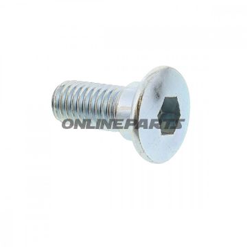 Brake Disc Boltm8x1.25X20 Mm