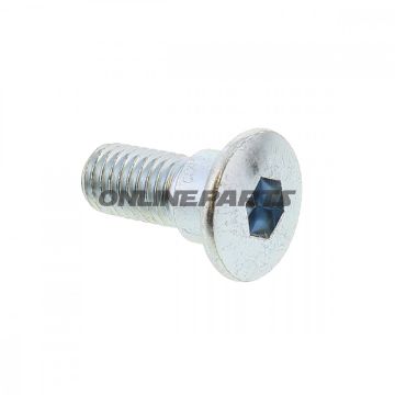 Brake Disc Boltm8x1.25X20 Mm