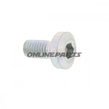 Brake Disc Boltm8x1.25X17mm